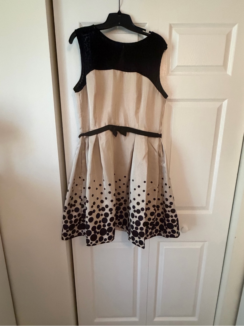 Taylor A-Dress Black Beige Polka Dot Lace Mesh Velvet Satin 50's Style frim Modc